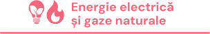 Energie electrică și gaze naturale