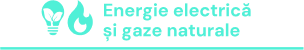 Energie electrică și gaze naturale
